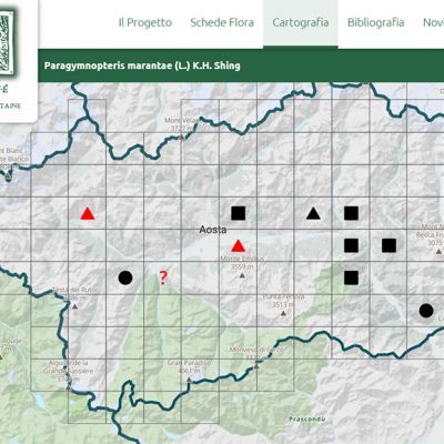 Pubblicata la cartografia dei generi Hieracium e Pilosella