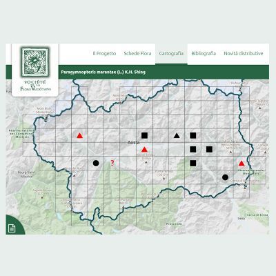 Novità nella sezione Cartografia