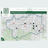 Pubblicata la cartografia delle Campanulaceae