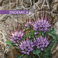 Presentazione ad Aosta del volume FLORA ENDEMICA NEL NORD ITALIA - Biblioteca Regionale 2 aprile 2025, ore 20.30